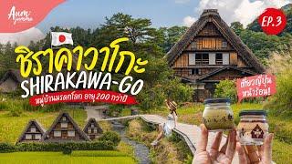 เที่ยวญี่ปุ่น  ชิราคาวาโกะ (Shirakawa-go) 白川郷 หมู่บ้านมรดกโลกแห่งญี่ปุ่น (อัพเดท 2024) | VLOG