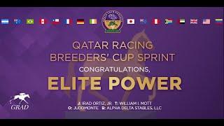 2022 Qatar Racing Breeders' Cup Sprint - Elite Power