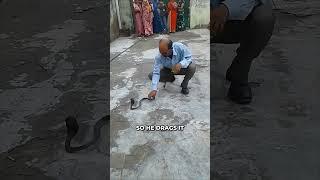 Brave Man Captures Snake Alone! 