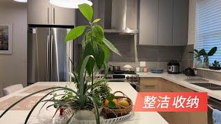 新家布置上正轨 整理收纳 2大步骤 与阿公共同守约 窍门分享 【Garden Time 田园生活分享】2025 1