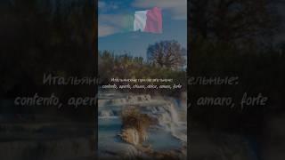 Итальянские прилагательные: contento, aperto, chiuso, dolce, amaro, forte