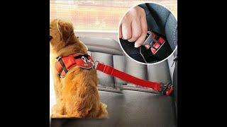 Dog Seat Belt