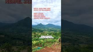 DIJUAL TANAH SHM - COCOK UTK VILLA/RESORT - VIEW SAWAH & GUNUNG - NUANSA ALAM LUXURY VIEW BOGOR