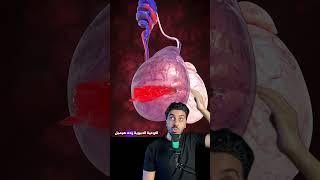 هو ممكن ركلة في الخصية تخلص عليك ؟