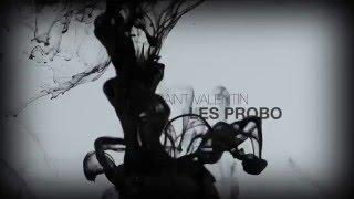 Les Probo - Saint Valentin ( Audio )