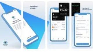 PeakDeFi Wallet App - Basics & Funktionen