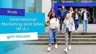 Master International Marketing and Sales at FH Münster – What experience are you looking for?