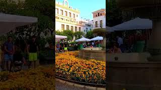 Take a look at Estepona ( Old Town and New )  #estepona #travel #shorts