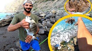 How to attract sargos fish to the fishing place / in addition to how to make bait for the pilota