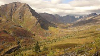 Hiking To The BIG View On The Grizzly Lake Trail