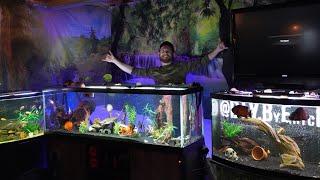 Aquarium Fish Room Tour! 2023