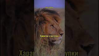 #мотивация#мужчина #силамысли #джентельмен #Сила#мысличувствадействия