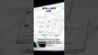 MT4에서 MT5로 이동
