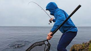 Lure fishing for wrasse. How to catch more sea fish!