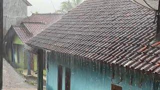 LIVE Heavy rain in my village