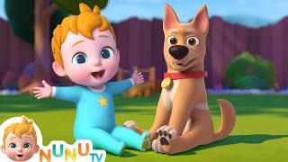 Bingo Song + More Nursery Rhymes & Kids Songs | NuNu Tv