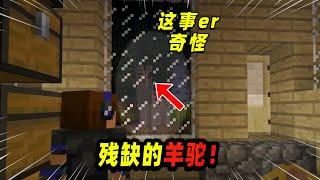 Minecraft我的世界都市传说：隐藏在橡木林中的残缺羊驼！