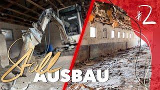 Abriss von Dach bis Beton 🫢 | Stall Ausbau Teil 2