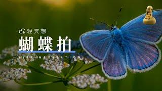 正念冥想 | 在宁静的时光里，我追寻内心的自由