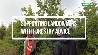 Forestry advisory services provided by Teagasc