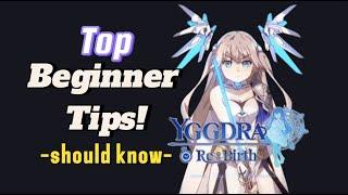 Yggdra Rebirth SEA Top beginner tips (En)