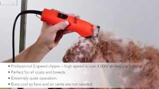 Andis ProClip UltraEdge® Super 2-Speed Detachable Blade Clipper - Blaze, 22760