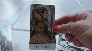 Traceyhd's Review Of The New Palladini Tarot