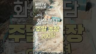 수원20분거리 주말농장 농막, 비닐하우스 몽땅 매매 | 경기도 화성시 토지 매매