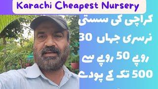 Cheapest Nursery in Karachi |cheapest Nursery  Sharifabad Near 10 No Liquatabad Karachi