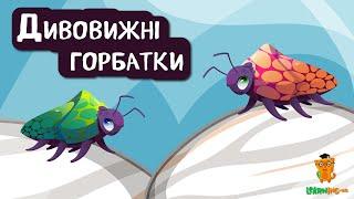  Дива природи. Явища навколо нас. Горбатки 