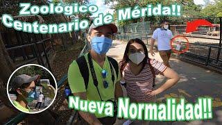 ZOOLÓGICO CENTENARIO - REAPERTURA! MÉRIDA, YUCATÁN - NUEVA NORMALIDAD FT SOY.BREY