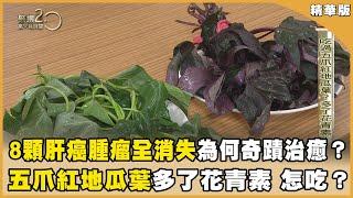 8顆肝癌腫瘤全消失！為何奇蹟治癒？ 多了花青素！五爪紅地瓜葉怎吃？【聚焦2.0】第562集