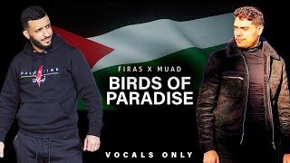 Firas X Muad - Birds Of Paradise (Vocals Only)