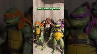 Teenage mutant ninja turtles action figures! #tmnt #actionfigurecollection #actionfigurecollecting