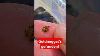 2 gold nuggets found with the metal detector! ‍ #goldpanning #outdoor #golddoktor #detecting