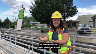 Wastewater Treatment Plant Tour