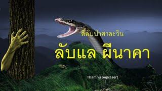 ๑๒๗.ลับแลผีนาคา ลี้ลับป่าสาละวิน