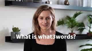 What is what3words?