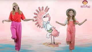 Flamingo deju vakars - Rūta & Sofija | Ričijs Rū rīko koncertu 2 | Dziesmas bērniem