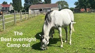 Camp Out Overnight on a Horse Farm