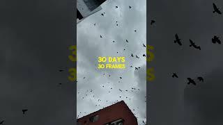 30 days 30 frames #travel #photography #cinematic