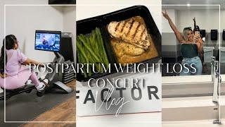 Vlog | Postpartum Weight Loss, Queens of R&B Concert!