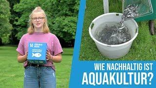 Mathilda fragt nach(haltig): Kann Fisch aus Aquakultur nachhaltig sein?