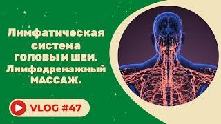 #47 Лимфатическая система головы и шеи. Лимфодренажный массаж.