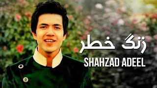 Shahzad Adeel - Zang E Khatar | شهزاد عدیل - زنگ خطر