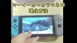 【ポケモンSV】マーイーカ カラマネロ 進化方法　実写で解説！