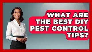 What Are the Best DIY Pest Control Tips? | Insects and Invaders