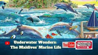 Underwater Wonders: The Maldives' Marine Life #youtubesearch #travel