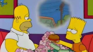 Homer - Wie man schnell fett wird.avi