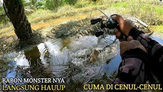 DAPAT GABUS MONSTER DI PARIT PERUSAHAAN HANYA DI CENUL-CENUL LANGSUNG HAUUP BRO...